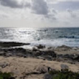 Meet your Posher, Tim